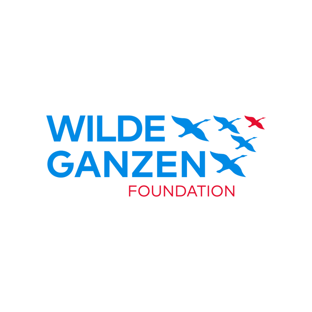 Wilde Ganzen